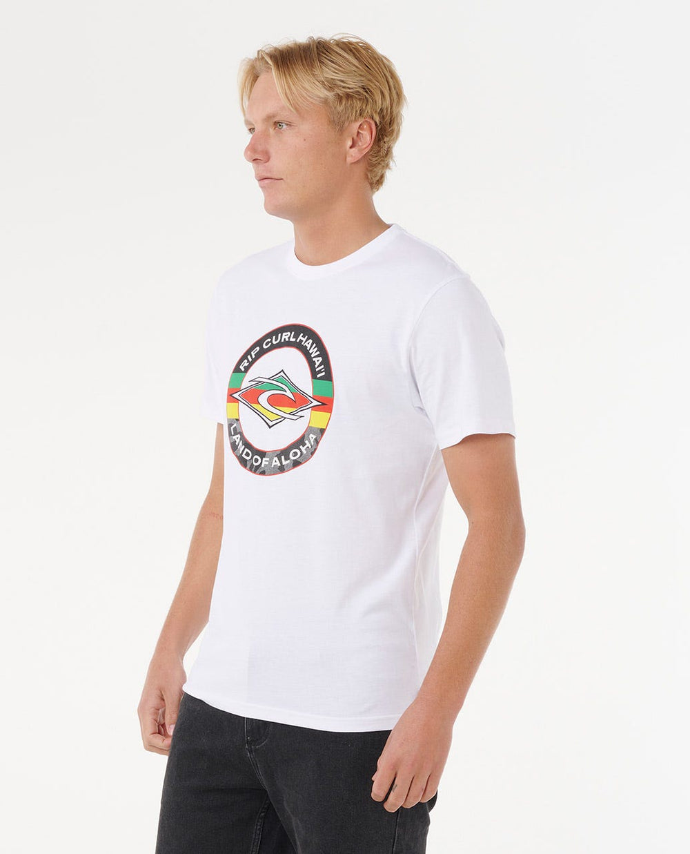 Staple Fill Hawaii Standard Tee