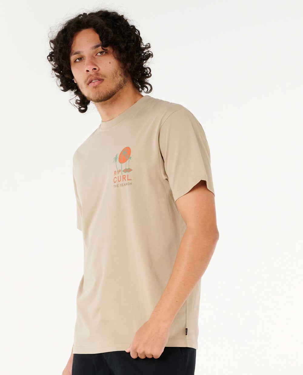 Artist Of The Search - Cody Welsh Palms Relaxed Tee