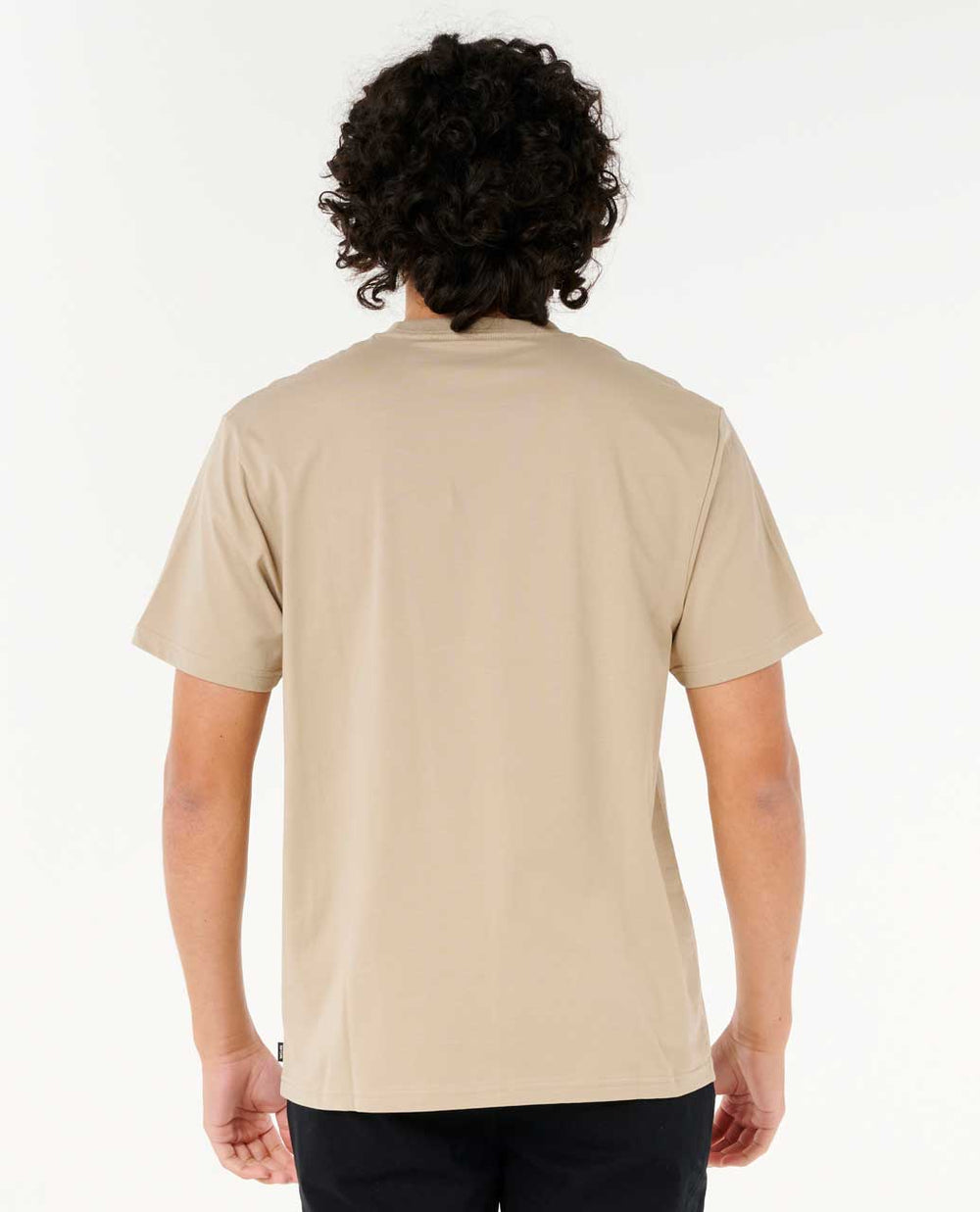 Artist Of The Search - Cody Welsh Palms Relaxed Tee