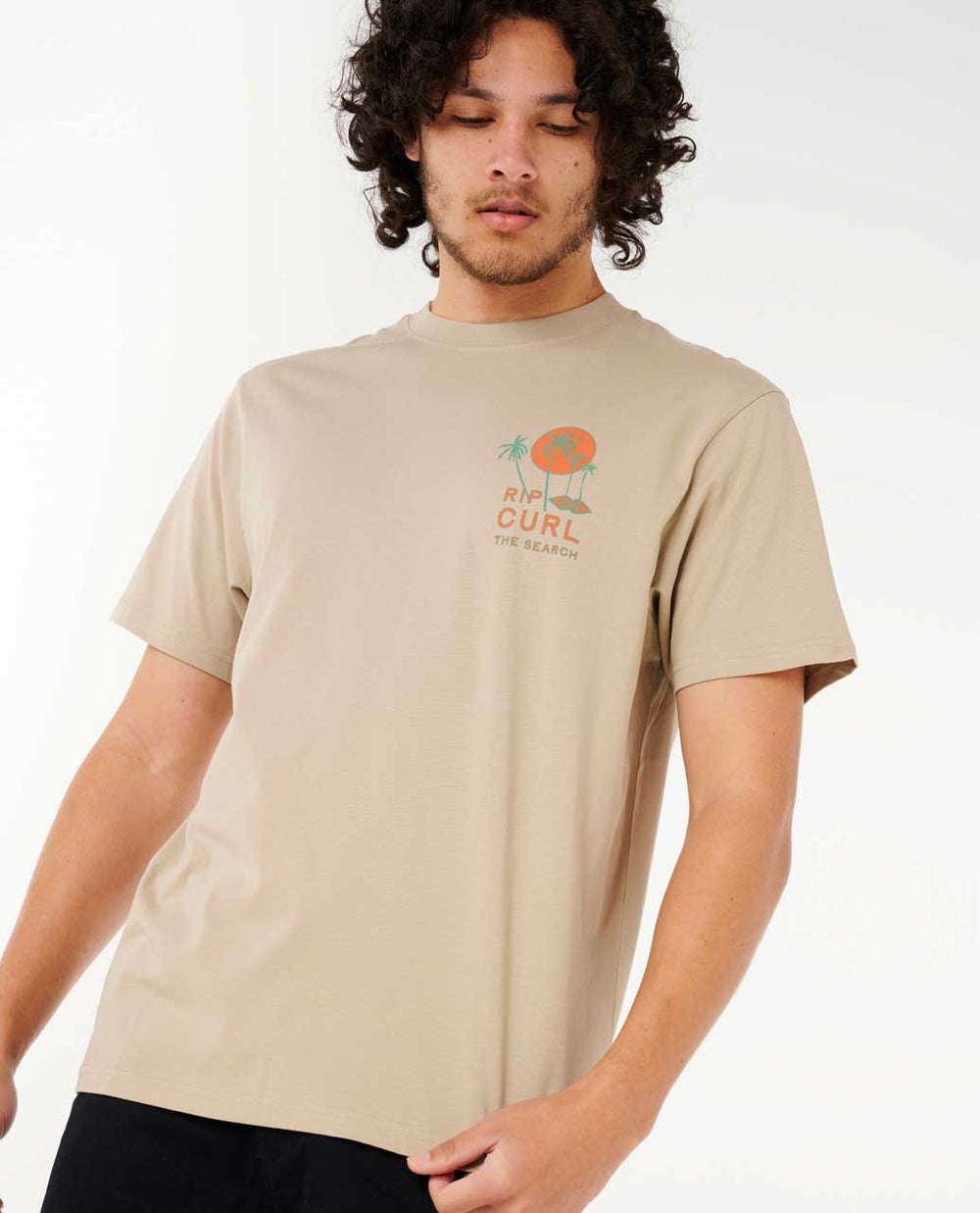 Artist Of The Search - Cody Welsh Palms Relaxed Tee
