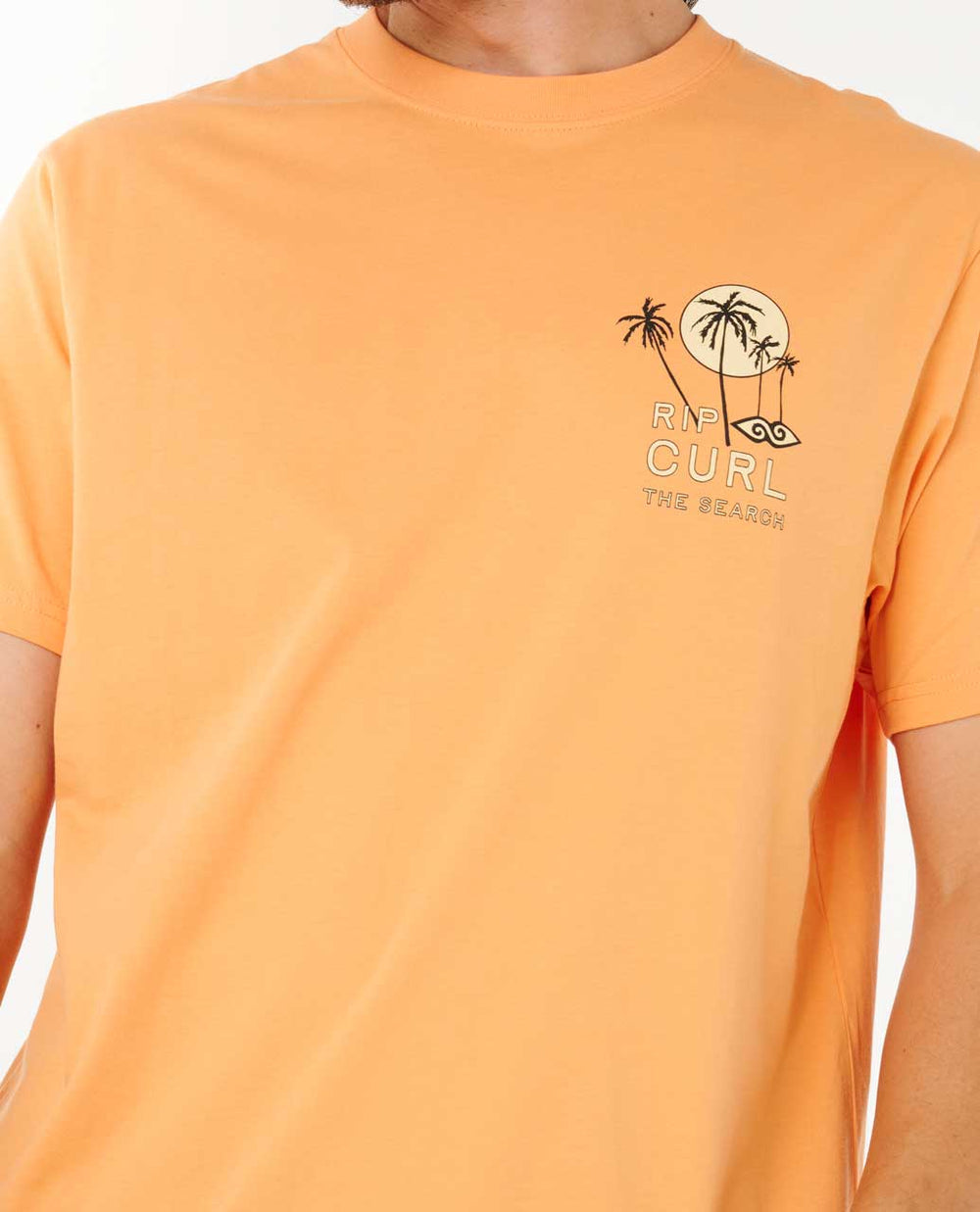 Artist Of The Search - Cody Welsh Palms Relaxed Tee