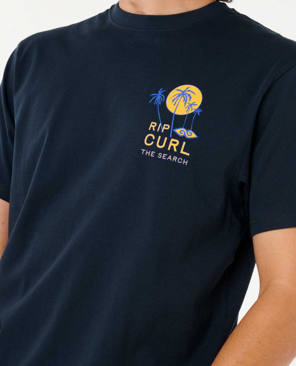 Artist Of The Search - Cody Welsh Palms Relaxed Tee