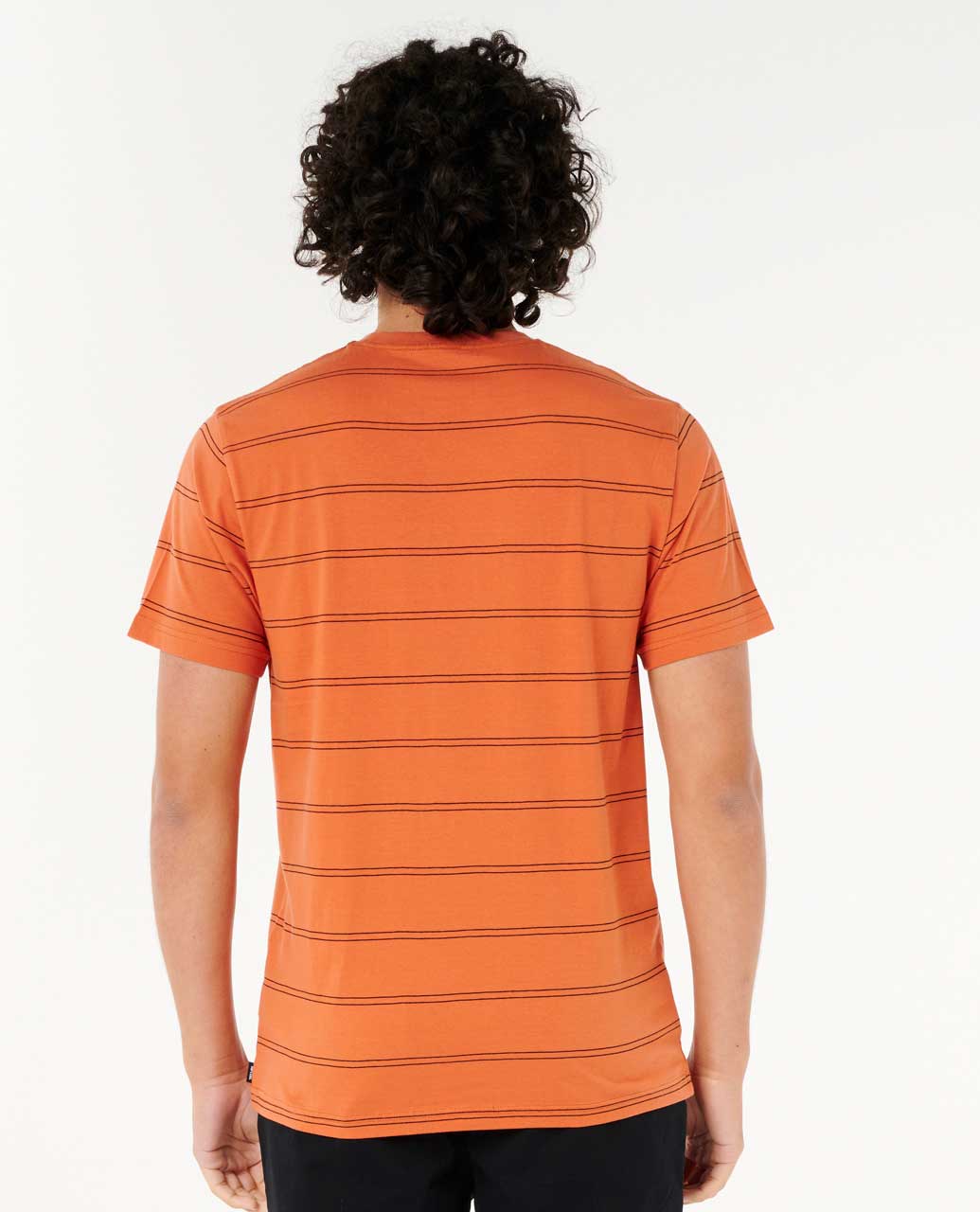 Plain Stripe Standard Tee