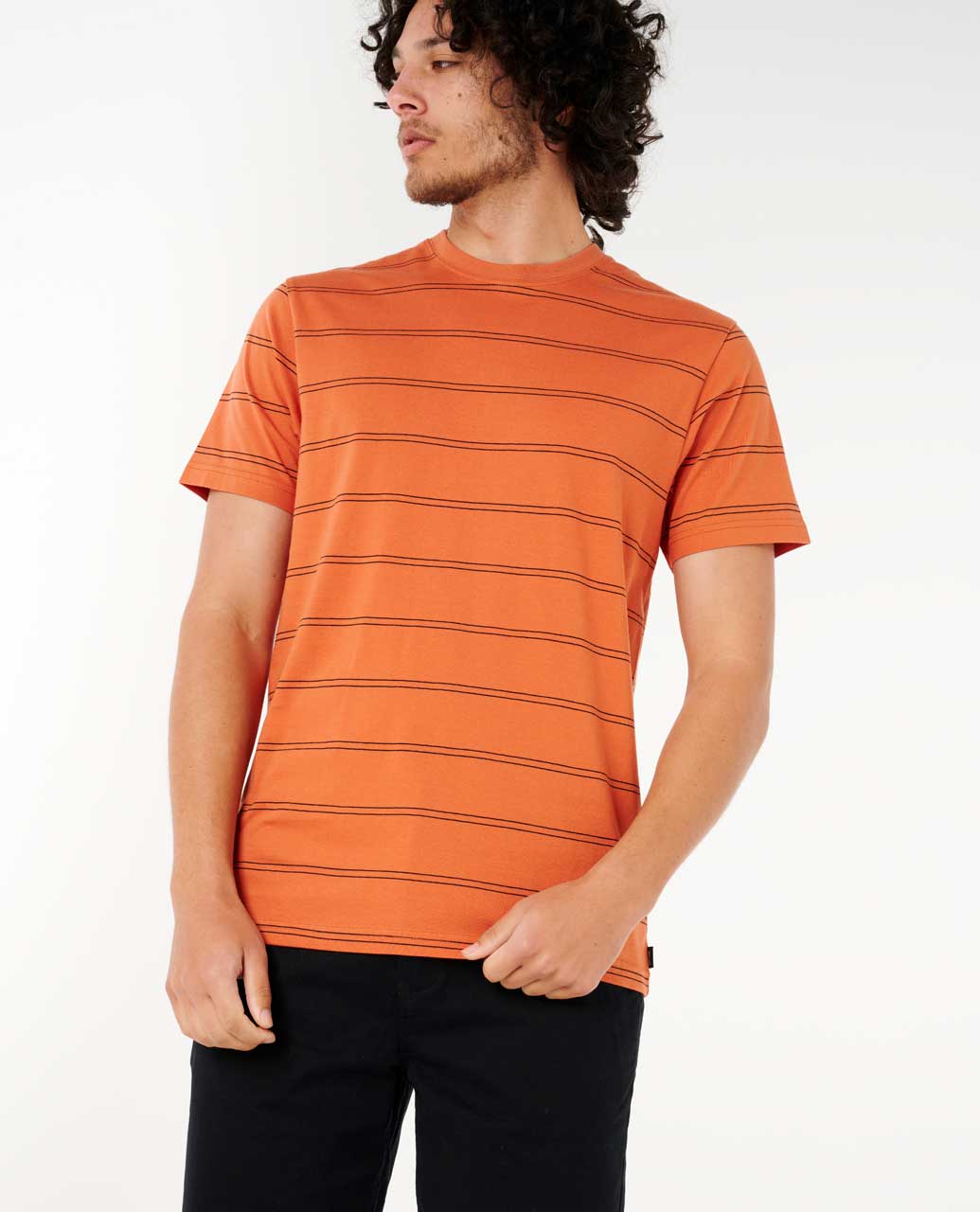 Plain Stripe Standard Tee