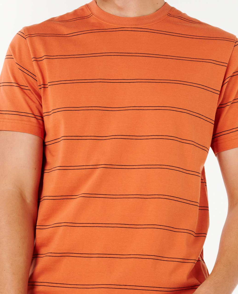 Plain Stripe Standard Tee