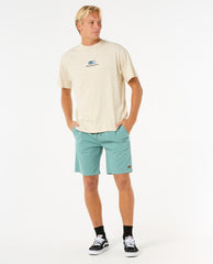 Classic Surf 19" Volley