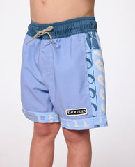 Artist Of The Search Ty Williams Volley Boardshort - Boys (1-8 years)